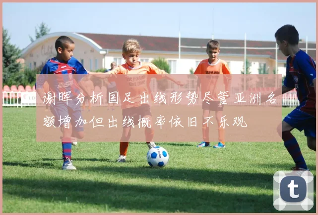 谢晖分析国足出线形势尽管亚洲名额增加但出线概率依旧不乐观