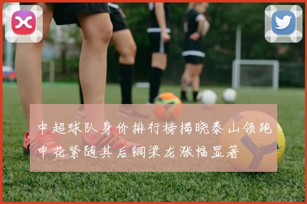 中超球队身价排行榜揭晓泰山领跑申花紧随其后铜梁龙涨幅显著