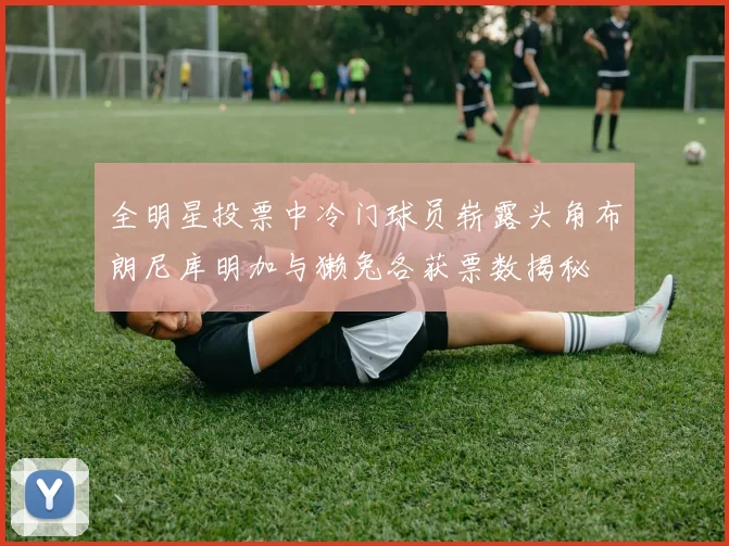 全明星投票中冷门球员崭露头角布朗尼库明加与獭兔各获票数揭秘